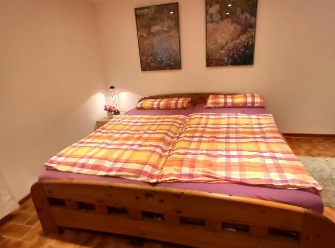 Apartamento Moebliertes Mit Bestem Anschluss - Hangelar Mitte